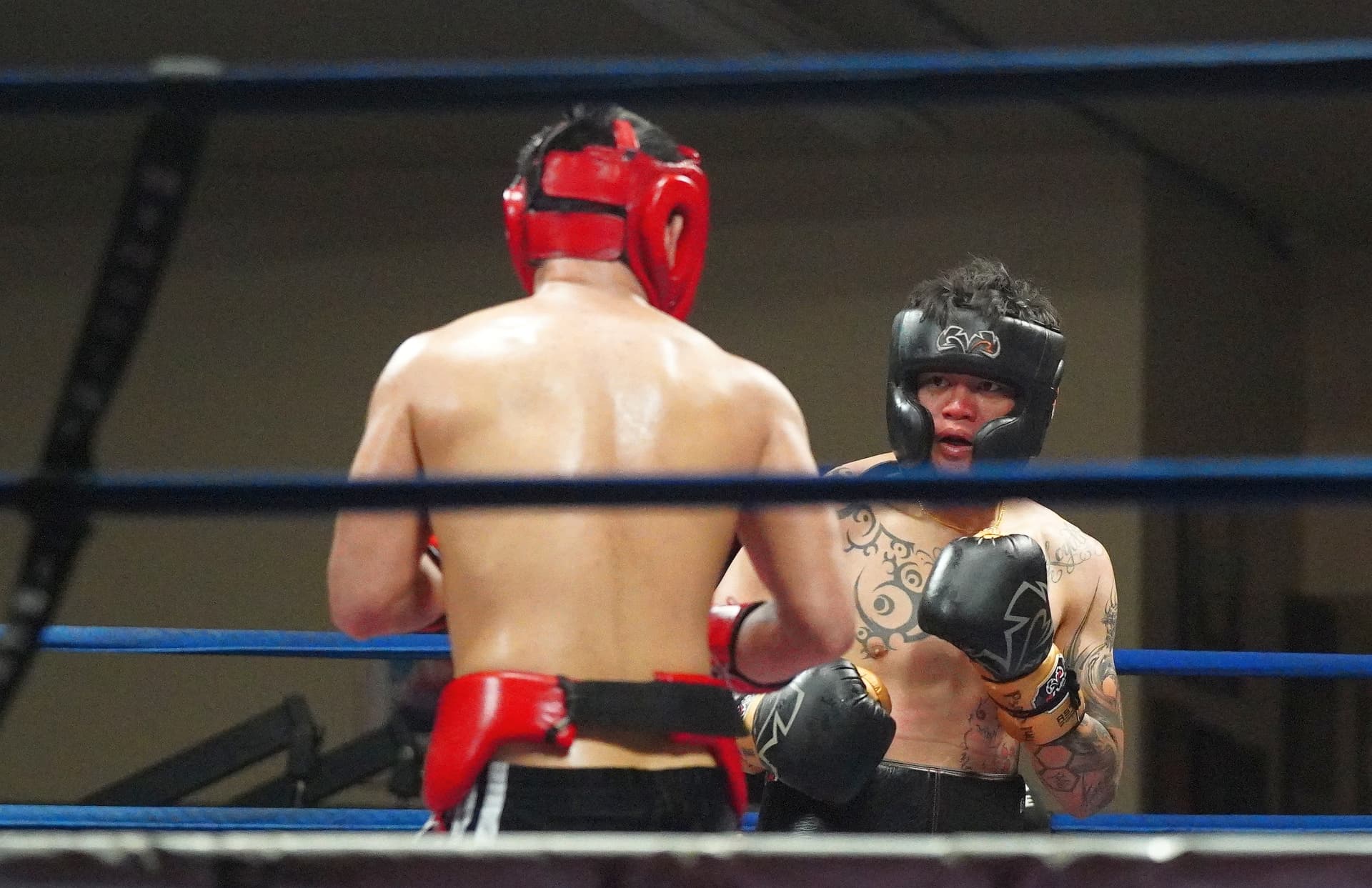 Amateur boxing